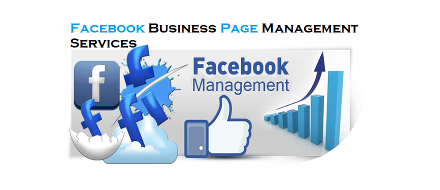 Facebook Business Page Management Services