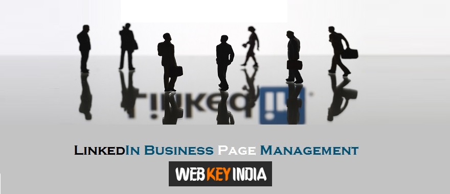 LinkedIn Business Page Management