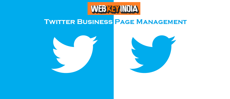 Twitter Business Page Management