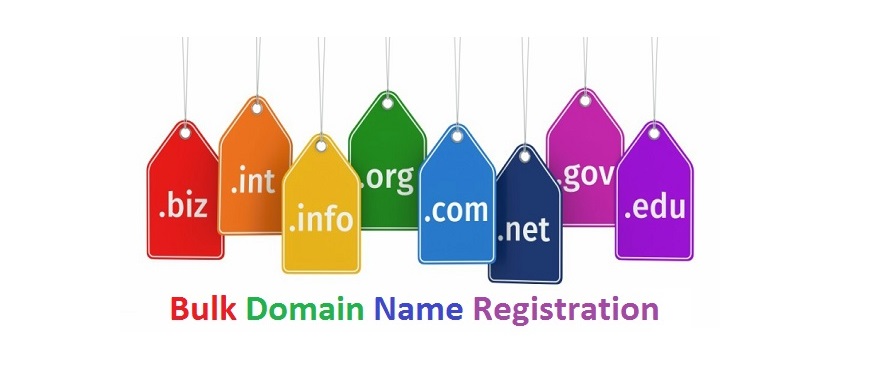 Bulk Domain Name Registration