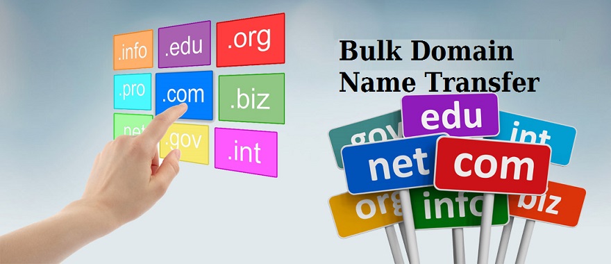 Bulk Domain Name Transfer