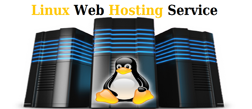 Linux Web Hosting Service