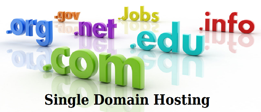 Single Domain Hosting