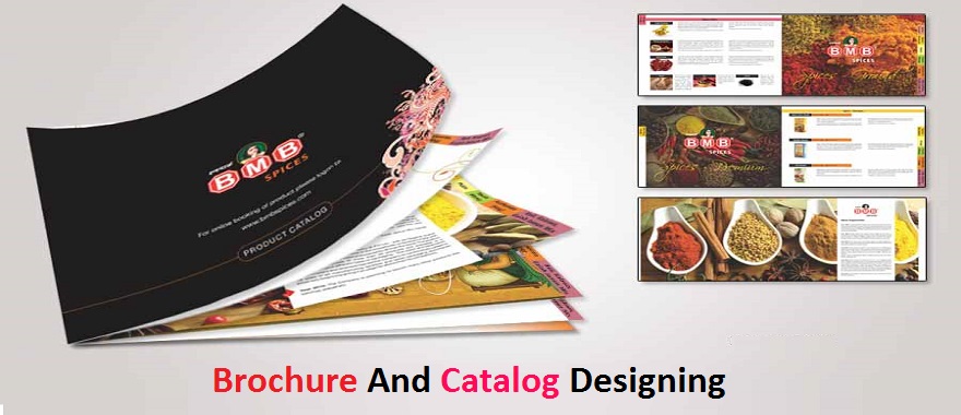 Brochure And Catalog Designing