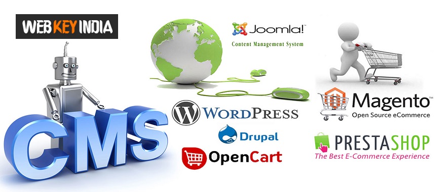 CMS Website Development