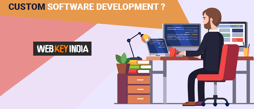Custom Software Development in Company in New Delhi India.