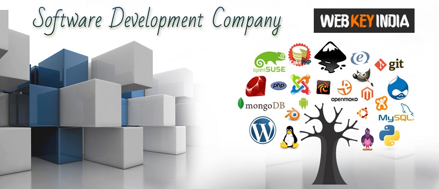 Software Development Company in New Delhi India.