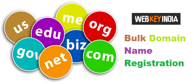 Bulk Domain Name Registration Services in Delhi India.