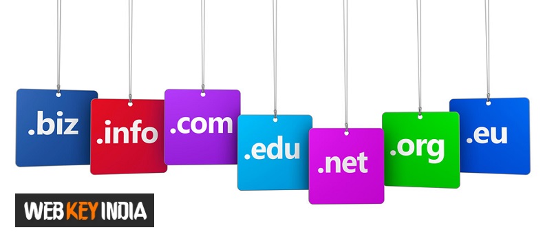 Web Domain Name Registration Services in New Delhi India.