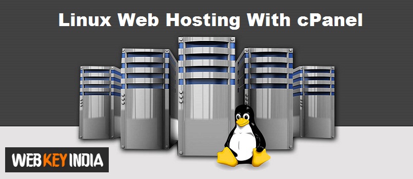 Linux Web Hosting With cPanel in Delhi India