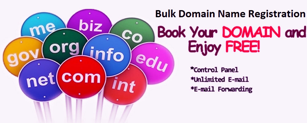Service Provider of Bulk Domain Name Registration