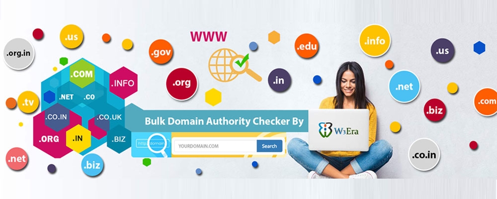 Service Provider of Bulk Domain Name Transfer