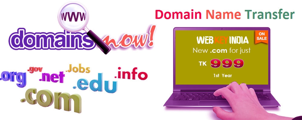 Service Provider of Domain Name Transfer