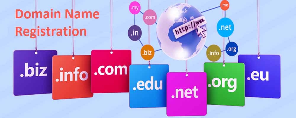 Service Provider of Domain Name Registration