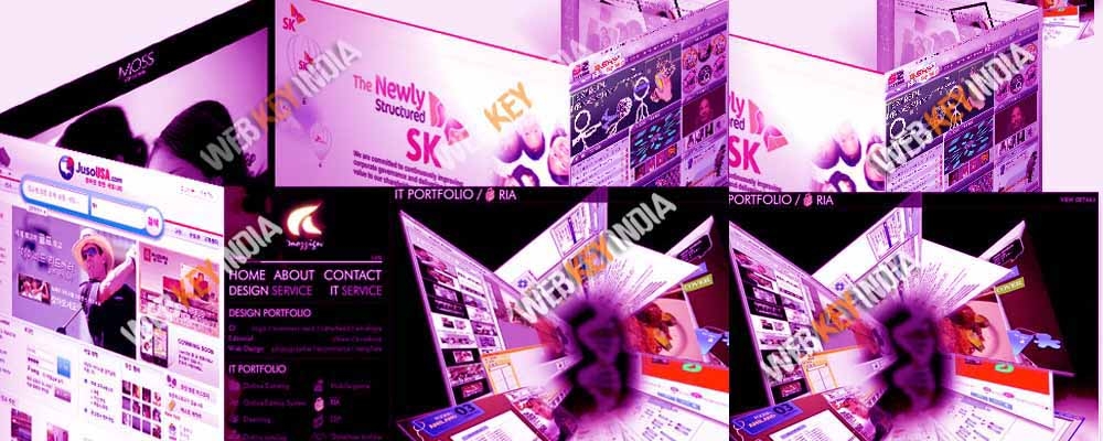 Service Provider of Flash Websites Designing