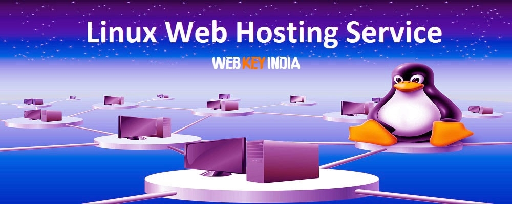 Service Provider of Linux Web Hosting Service