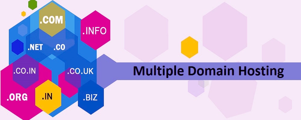 Service Provider of Multiple Domain Hosting
