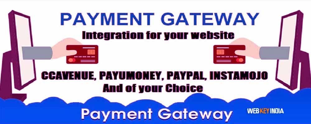 Service Provider of Payment Gateway Integration