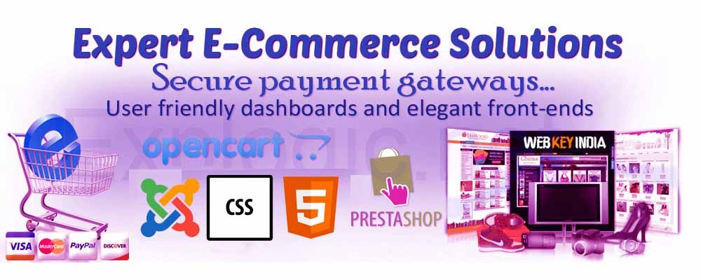 Service Provider of PHP Ecommerce Web Development