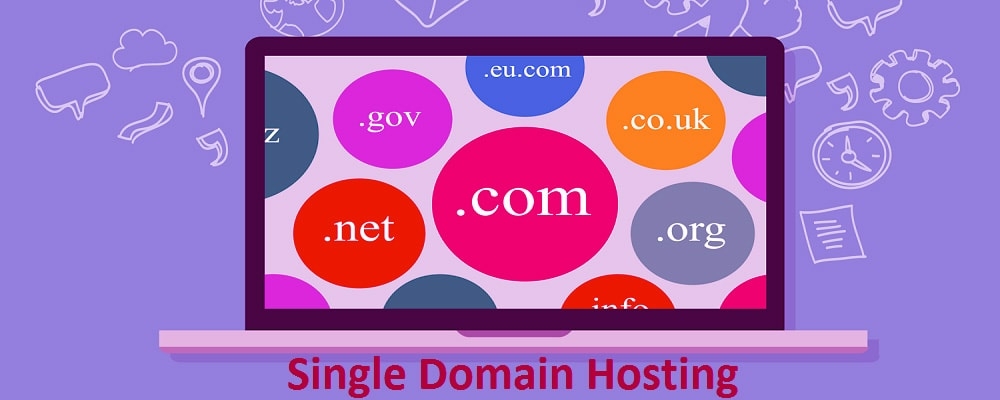Service Provider of Single Domain Hosting